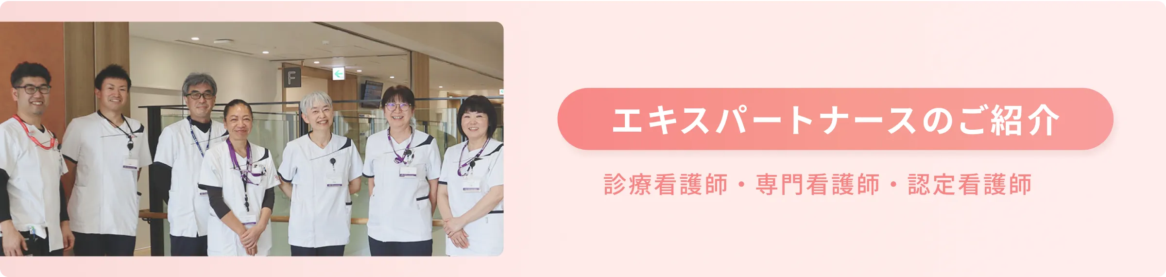 エキスパートナースご紹介