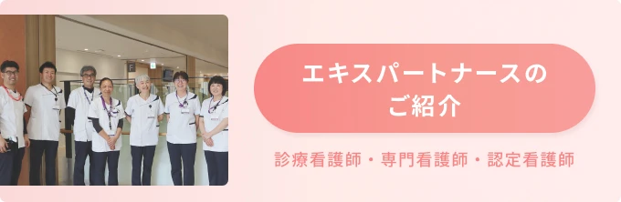 エキスパートナースご紹介